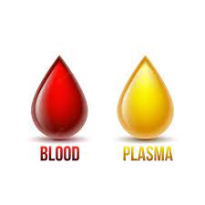 Tipos E Funções Do Sangue