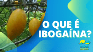 Ibogaína